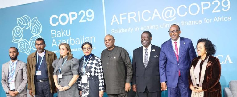 Africa’s $100 Billion Climate Finance Gap Widens Despite Record Pledges at COP29