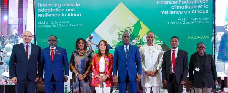 COP29 Aftermath: Africa Sets Its Sights on Implementation, Not Just Promises