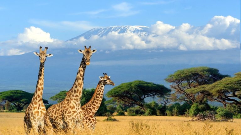 East Africa’s Tourism Revival: The $15bn Prize and the Sustainability Premium